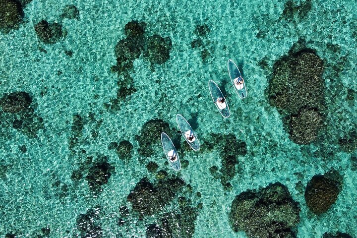 Billig Miyakojima (Clear SUP & havskildpaddesnorkling) Ingen ekstra omkostninger | Fuld refusionsgaranti | Gratis leje og billeder | Fra 1 år!