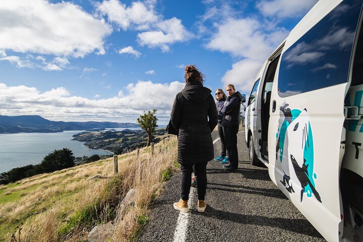 Clearwater Wildlife Tours (små grupper 10max) Oslo