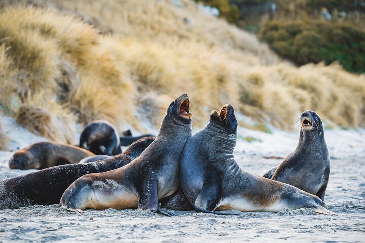 Clearwater Wildlife Tours (små grupper 10max) Oslo