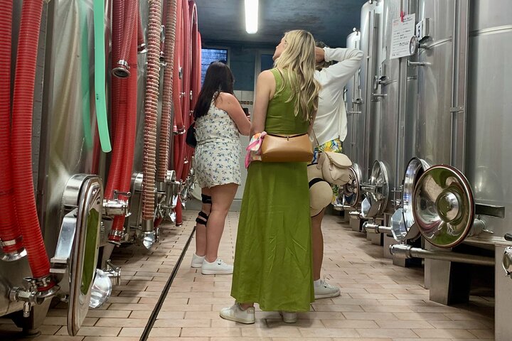 Tour privado todo incluido a Prosecco Hills - 2 bodegas y almuerzo.