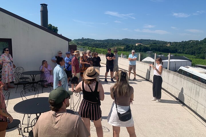 Tour privado todo incluido a Prosecco Hills - 2 bodegas y almuerzo.