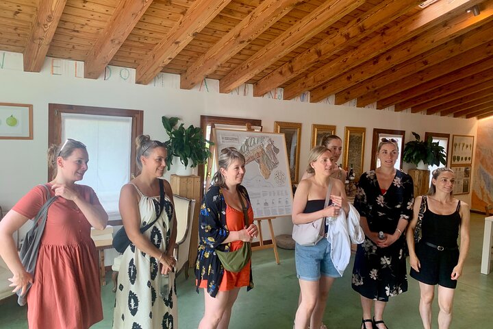 Tour privado todo incluido a Prosecco Hills - 2 bodegas y almuerzo.