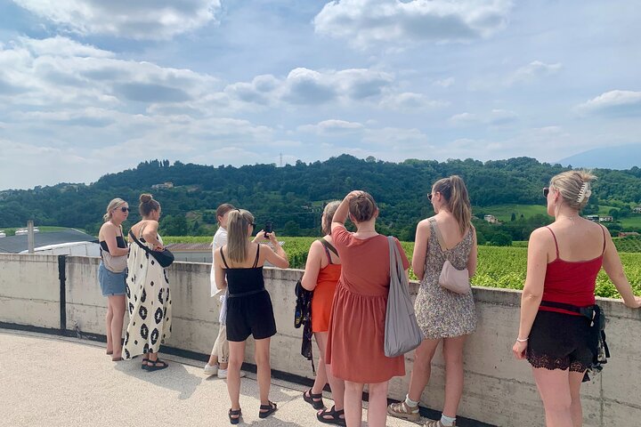 Tour privado todo incluido a Prosecco Hills - 2 bodegas y almuerzo.