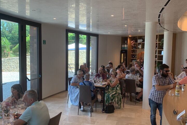 Tour privado todo incluido a Prosecco Hills - 2 bodegas y almuerzo.
