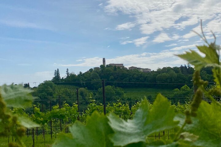 Tour privado todo incluido a Prosecco Hills - 2 bodegas y almuerzo.
