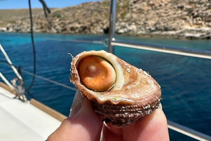 Mykonos Delos Rhenia Tägliche Kreuzfahrt mit Grill, Getränken und Transfer