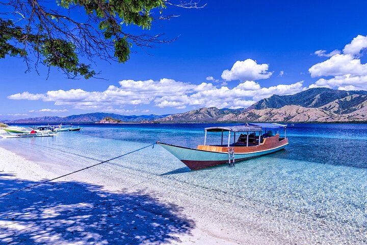 Små gruppe Komodo Fast Boat Tour med Padar Island & Pink Beach