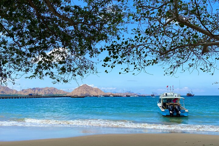 Små gruppe Komodo Fast Boat Tour med Padar Island & Pink Beach
