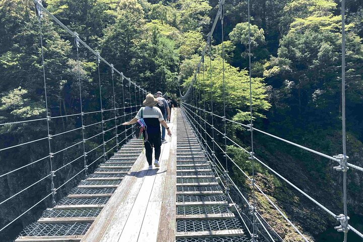 Kumano Kodo Pilgerfahrt in 1 Tag mit lizenziertem Fortgeschrittener