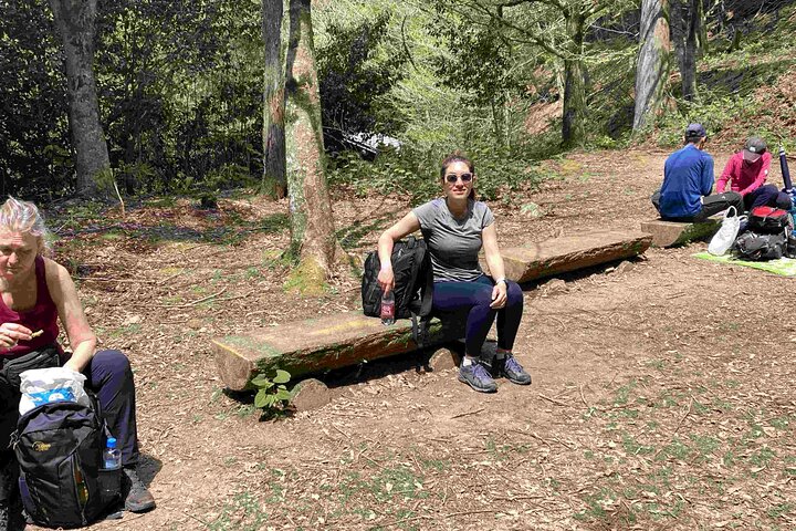 Kumano Kodo Pilgerfahrt in 1 Tag mit lizenziertem Fortgeschrittener