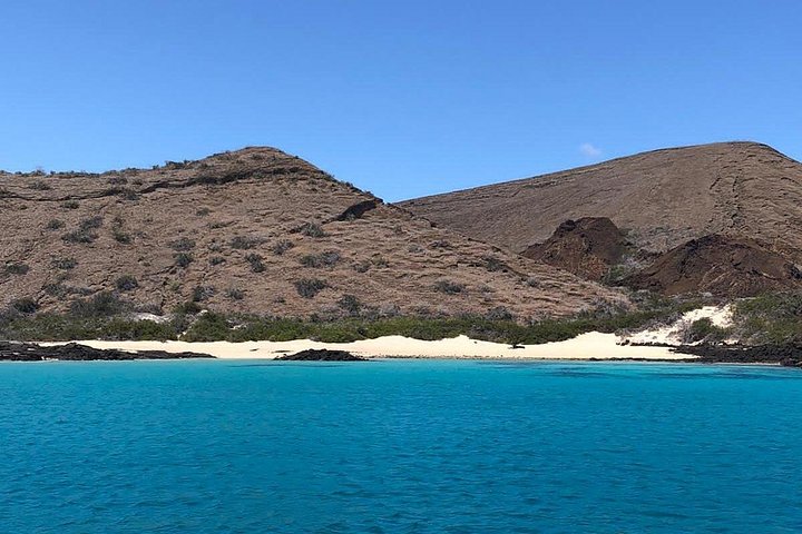 Galapagos & Machu Picchu från MANTA PORT CRUISE SHIP TERMINAL
