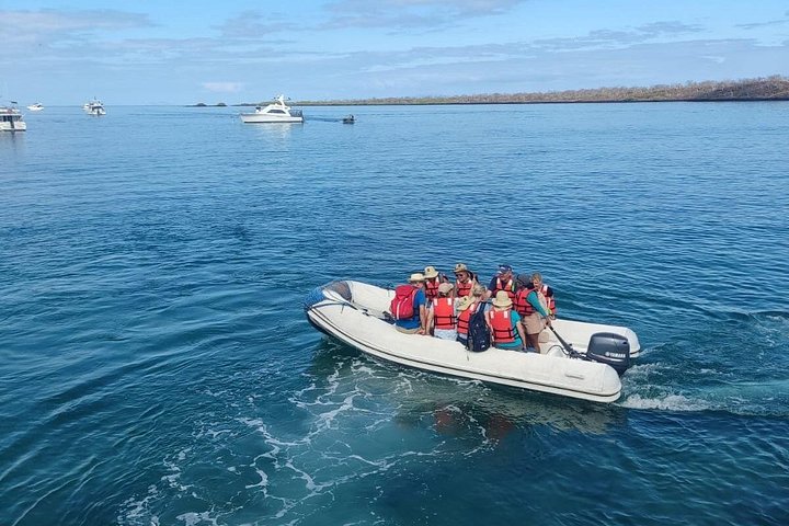 Galapagos & Machu Picchu från MANTA PORT CRUISE SHIP TERMINAL