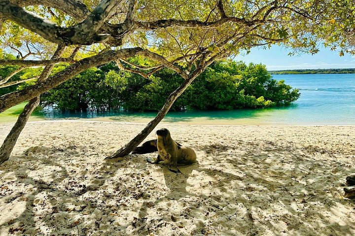 Galapagos & Machu Picchu från MANTA PORT CRUISE SHIP TERMINAL