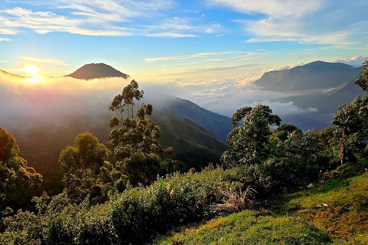 Coimbatore till Ooty dagsutflykt - Utforska en perfekt Hill Station