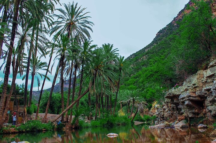 Tour guidato privato alla Paradise Valley e al villaggio di Taghazout