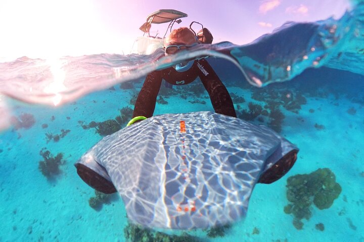 E Snorkeling Tour in Bonaire with Sea Scooters