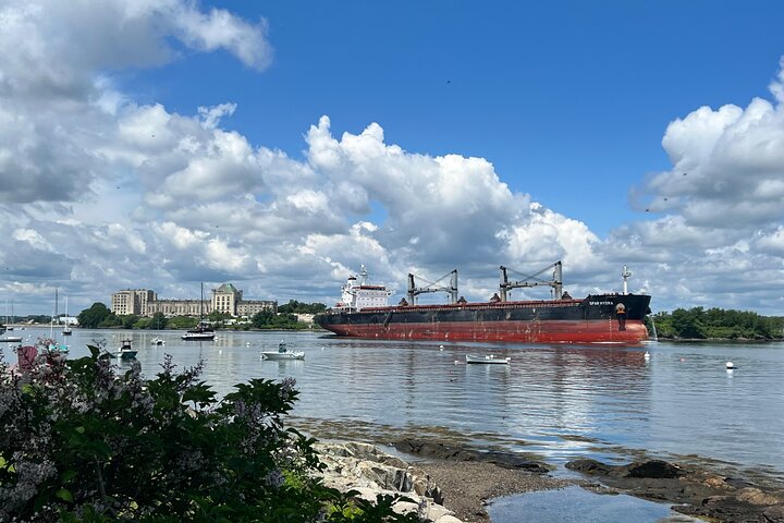 Tour des îles et du port - Visite, narration et sites incontournables