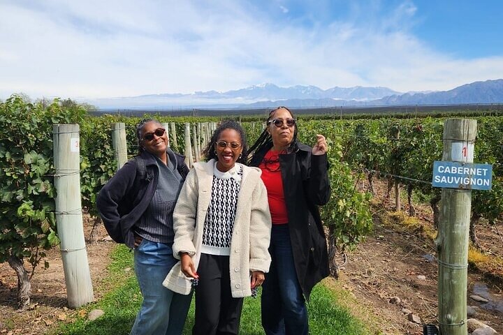 GANZTÄGIGE Weintour in Maipú und Luján - EXKLUSIV/PRIVATFAHRZEUG