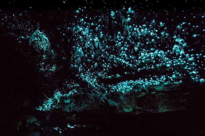 Visita guiada às Cavernas de Gelo da Família Kawiti em Bay of Islands