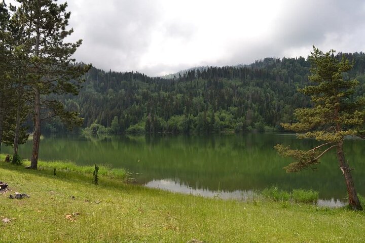 Excursion en jeep dans la montagne Dabadzveli : échappée tout terrain de Borjomi