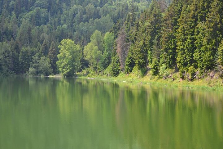 Excursion en jeep dans la montagne Dabadzveli : échappée tout terrain de Borjomi