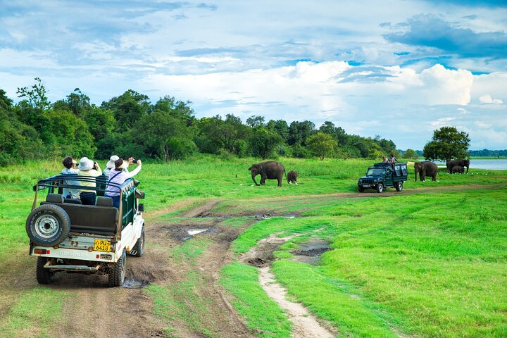 Safari privado en jeep en el Parque Nacional Minneriya