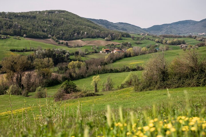 Halvdag Privat Parmigiano Reggiano og Parma Ham opplevelse