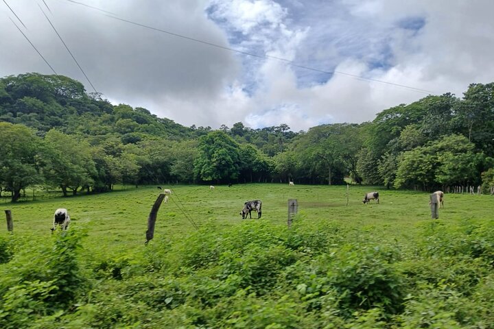 Punta Cacique ATV 4WD Jungle e Mountain Adventure em Costa Rica