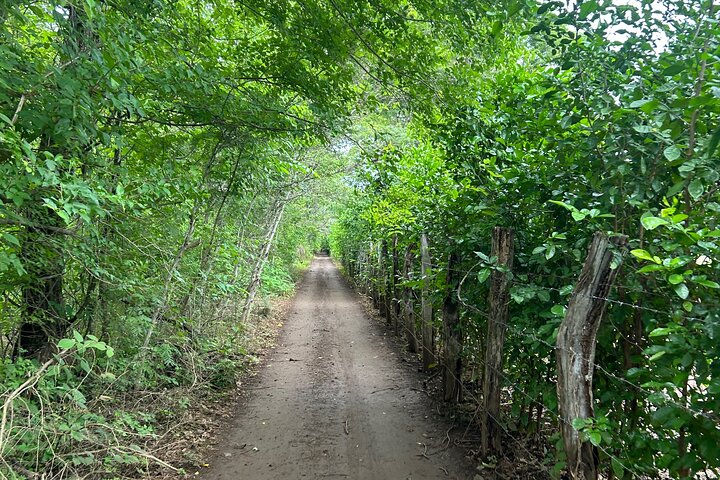 Punta Cacique ATV 4WD Jungle e Mountain Adventure em Costa Rica