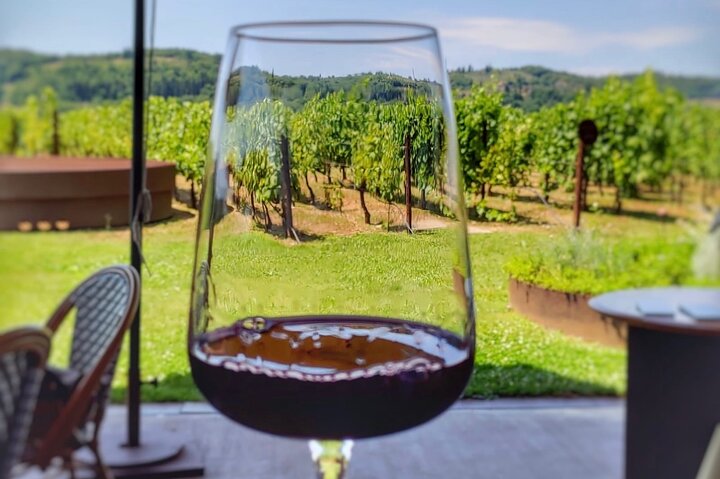 Tour privado del vino Chianti con traslados desde Florencia