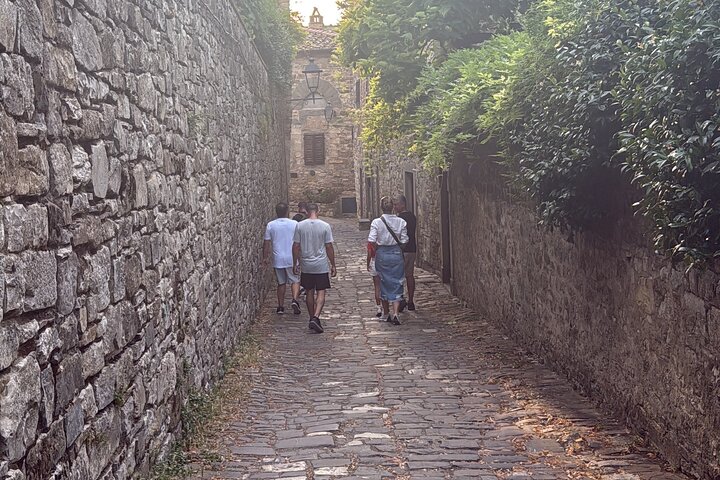 Tour privado del vino Chianti con traslados desde Florencia