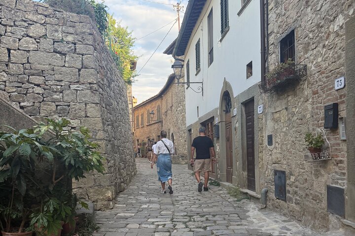 Tour privado del vino Chianti con traslados desde Florencia