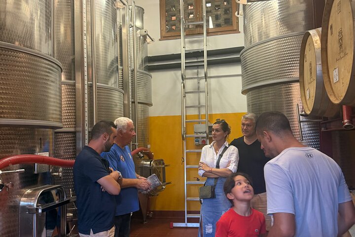 Tour privado del vino Chianti con traslados desde Florencia