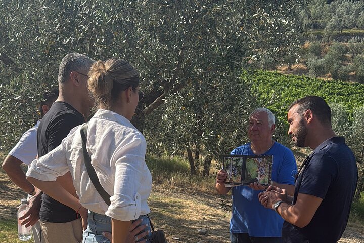 Tour privado del vino Chianti con traslados desde Florencia