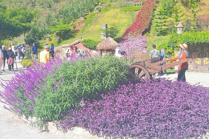 Excursion d'une journée à Cameron Highlands au départ d'Ipoh avec déjeuner et forêt moussue