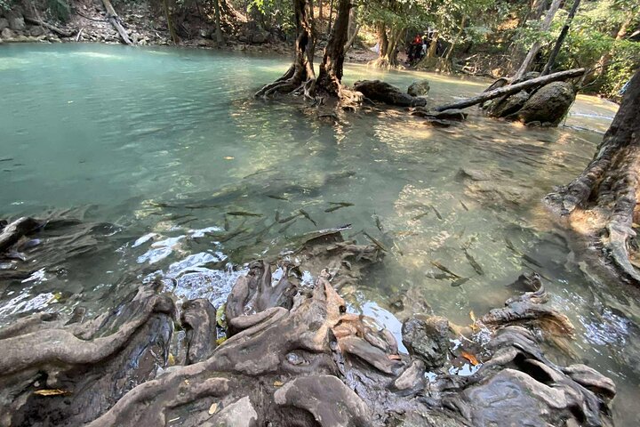 Cascada de Kanchanaburi Erawan y tren a lo largo de la Muerte