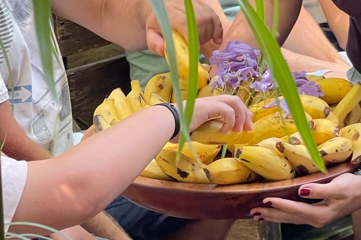Tour ecológico de cultivo de plátanos en La Palma