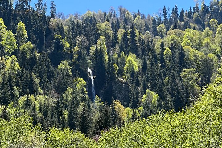 Excursion en jeep dans la montagne Dabadzveli : échappée tout terrain de Borjomi