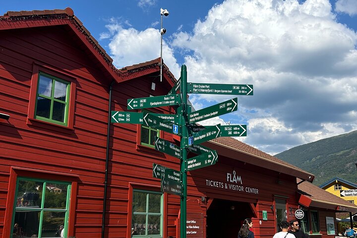 Visite guidée de Viking Village, croisière Nærøyfjorden & Flåm Railway