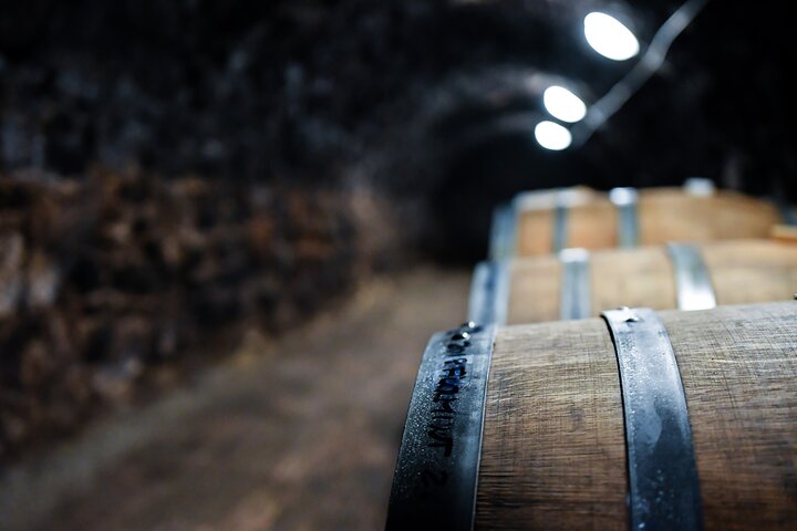 Tokaj Vineyard Tour Vinprovning og kjellerbesøk