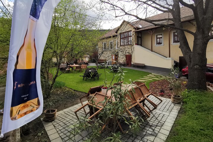 Tokaj Vineyard Tour Vinprovning og kjellerbesøk