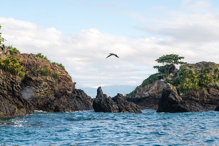 Tour de 2 Días en Corcovado, Estaciones Sirena y San Pedrillo