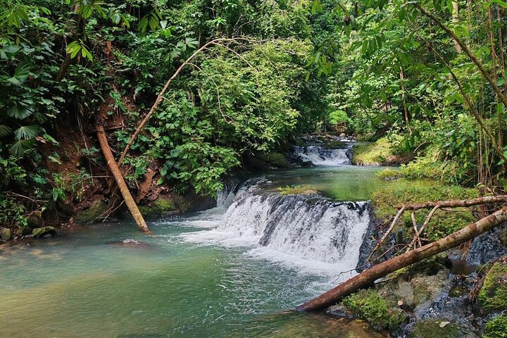Tour de 2 Días en Corcovado, Estaciones Sirena y San Pedrillo