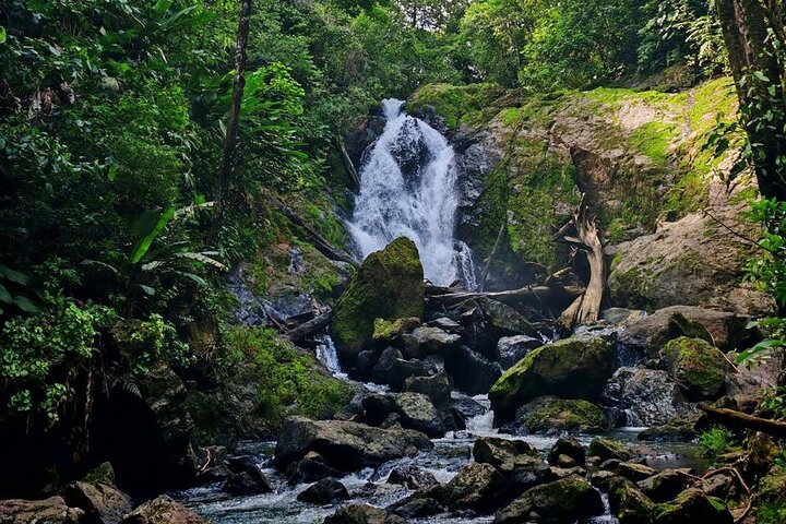 Tour de 2 Días en Corcovado, Estaciones Sirena y San Pedrillo