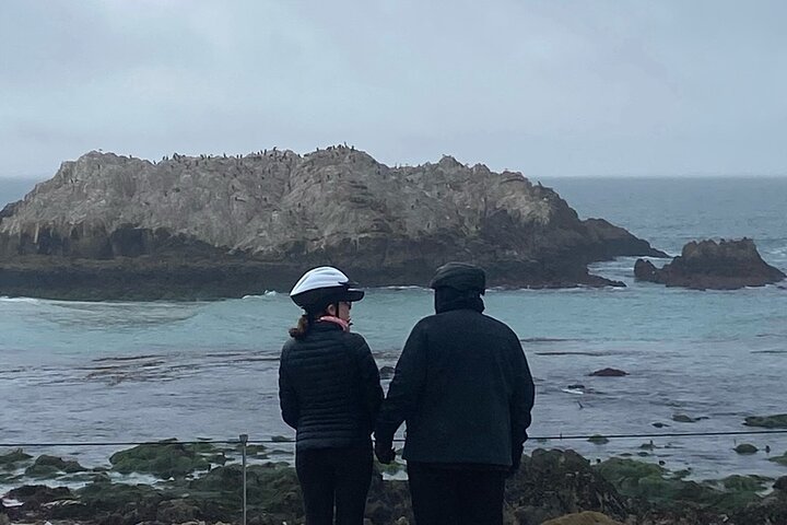 Tour guiado en bicicleta eléctrica de 17 millas en Monterey, 3 horas
