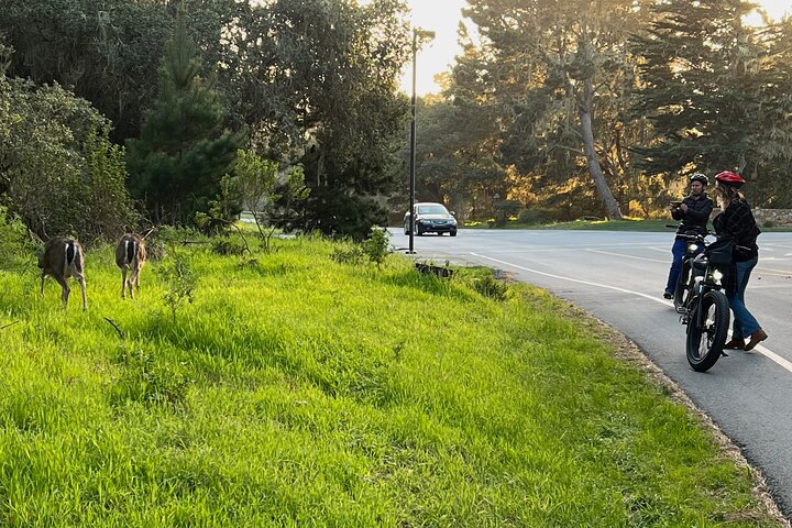 Tour guiado en bicicleta eléctrica de 17 millas en Monterey, 3 horas
