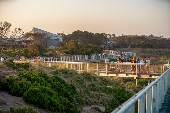 Phillip Island-tour van een hele dag met kangoeroe-, koala- en pinguïnparade