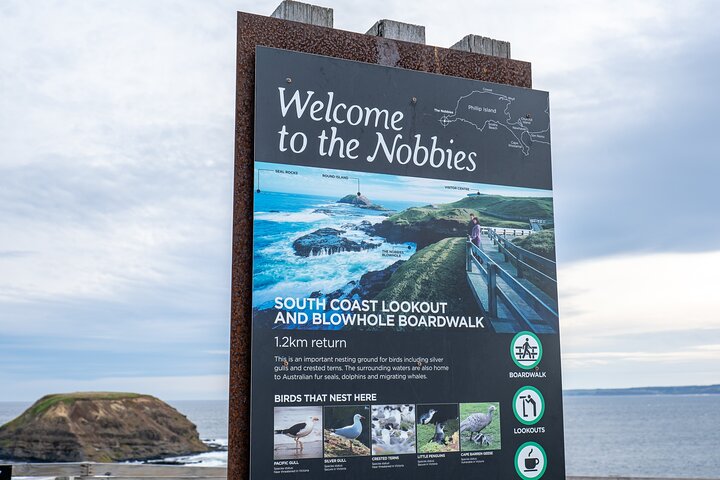 Phillip Island-tour van een hele dag met kangoeroe-, koala- en pinguïnparade
