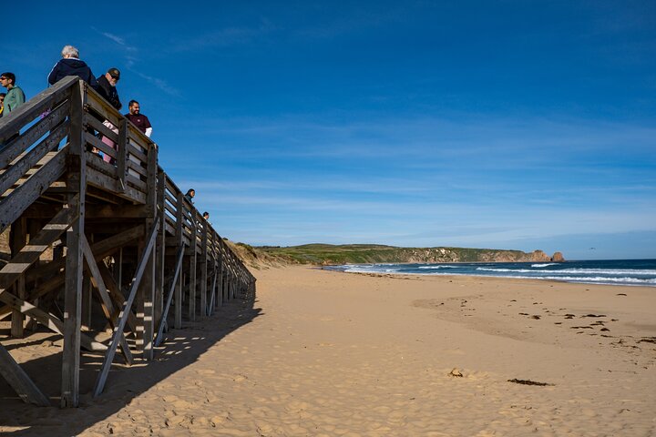 Phillip Island-tour van een hele dag met kangoeroe-, koala- en pinguïnparade