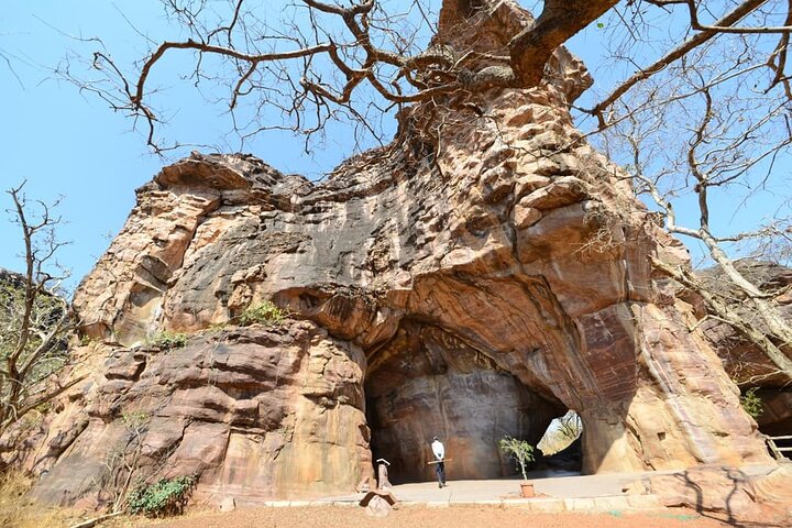 Nagpur till Bhopal via Pench & Satpura National Park